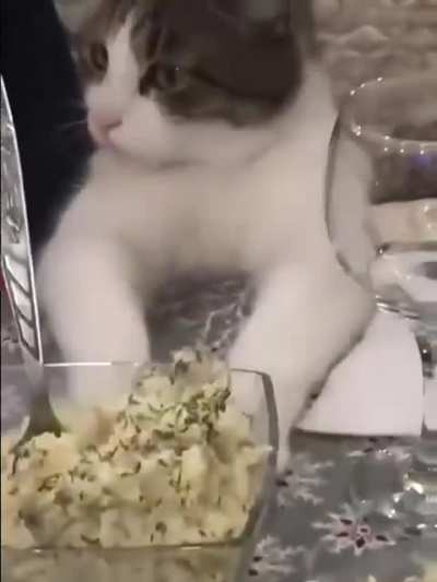 Guys let’s go eat?
