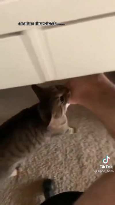 Foot fetish.