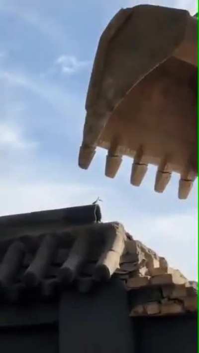 ? The duel of the fates, mantis