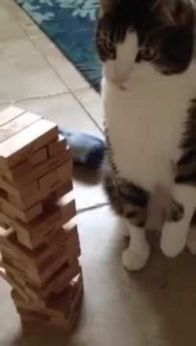 Game night