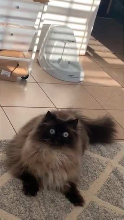 What was that?