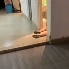 Best Party Ever
