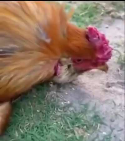 Maybe Maybe Maybe