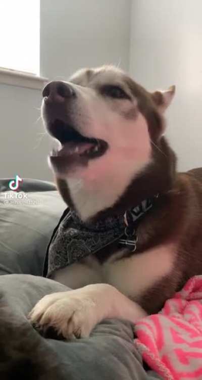 the ending got me ?