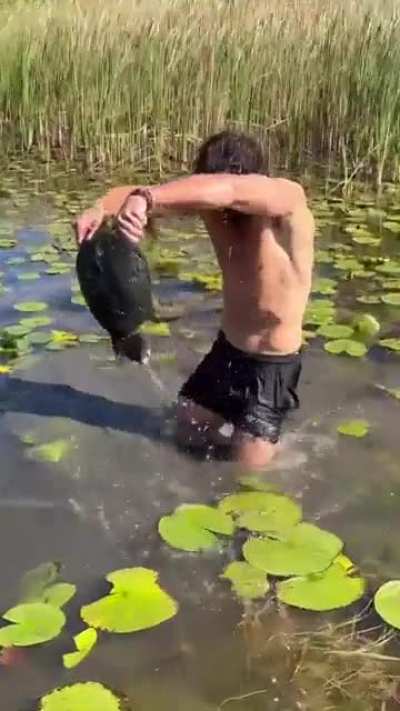 Influencer manhandles turtle for clout