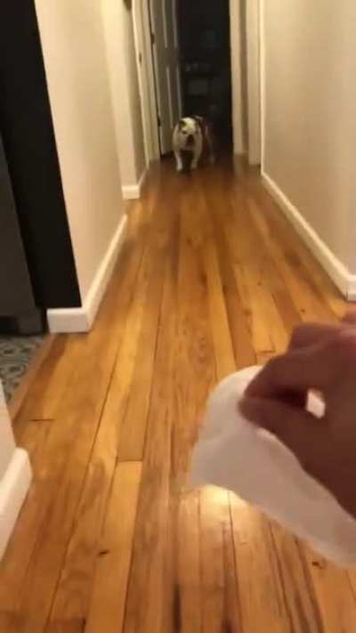 Time to clean your butt