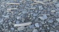 Found a rock with something strange sticking out, cracked it open and chipped away some rock to figure out what it was.