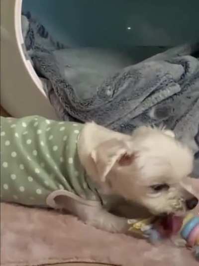 :P