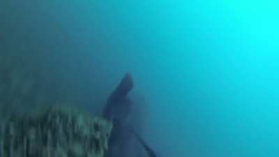 Freighter passes right over diver