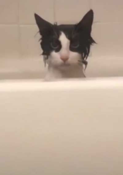 "Take a bath, they said. It will be fun, they said.”