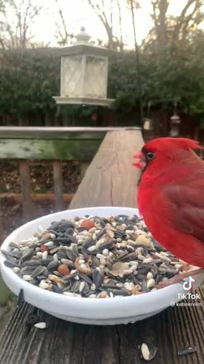 Feeding time