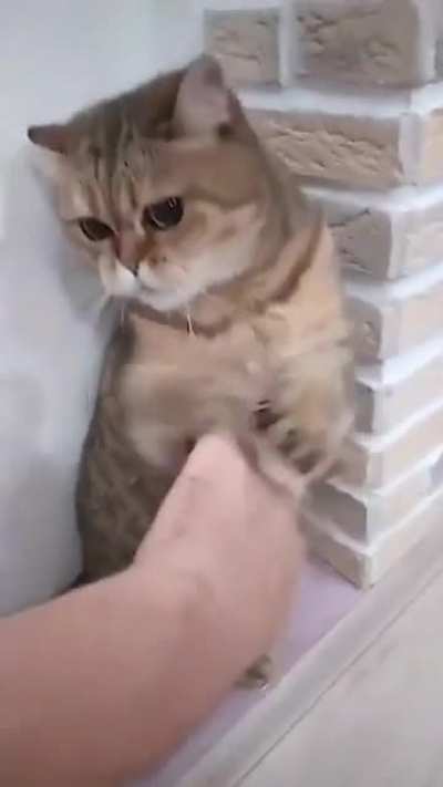 Kung-Fu?