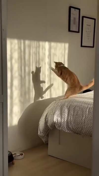 Who entered my room??