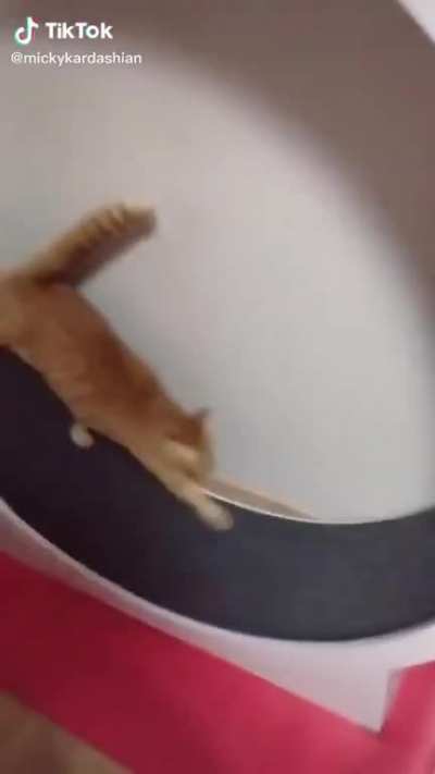 To lose the chonk
