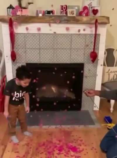 The reveal