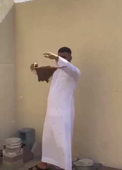 Shaking a bee hive/swarm