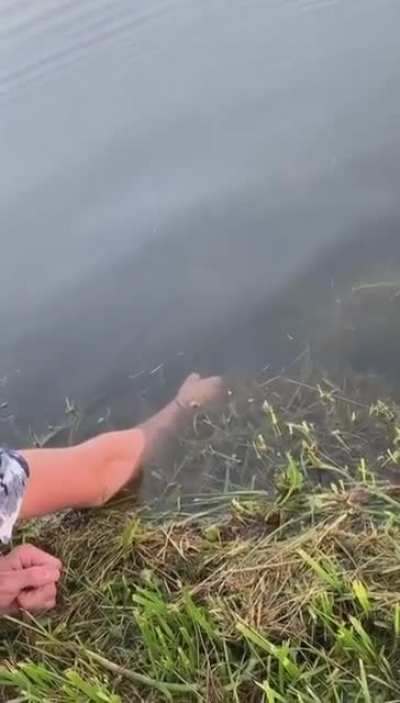 Fish like a Chad! ??