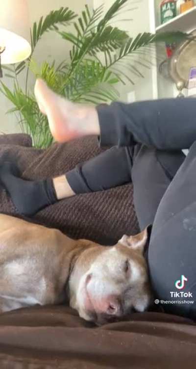 He’s only wearing one sock that disgusting.