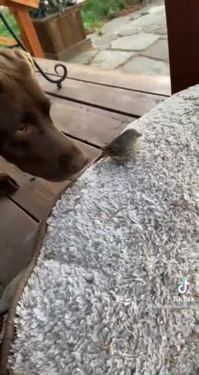 Friendship ?