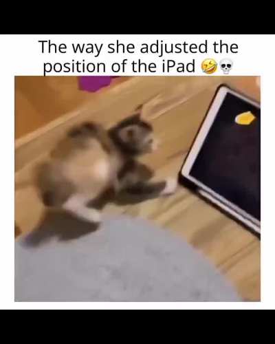 Adorable ?