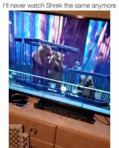 I’ll never watch Shrek the same anymore.