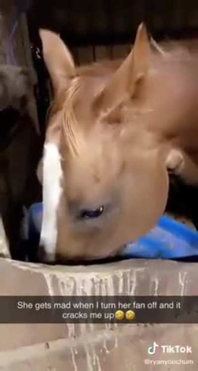 Maybe maybe maybe
