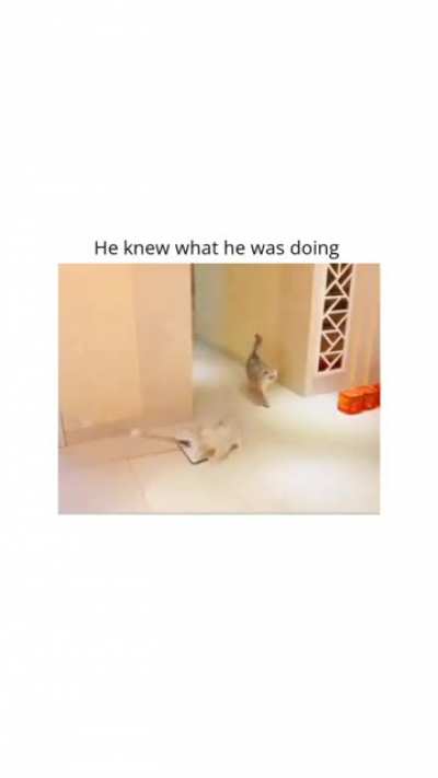 his masterplan