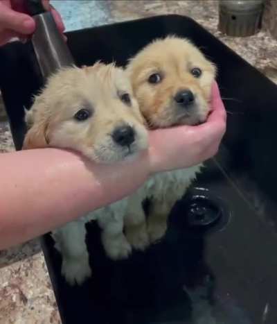Bath time ??
