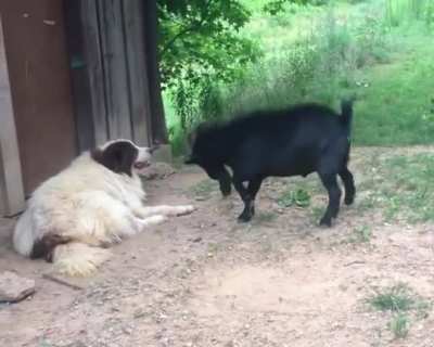 maybe maybe maybe