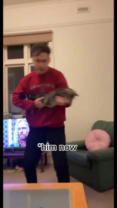 Pew pew pew (meow meow meow)