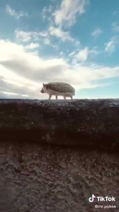 I'm on my way ?