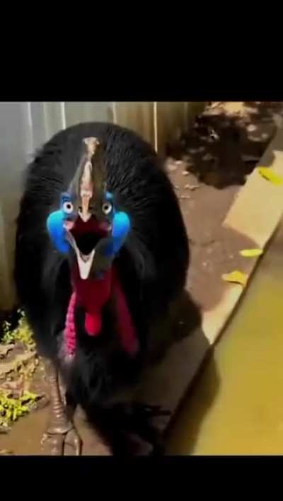 Terrifying? I found it interesting. ?