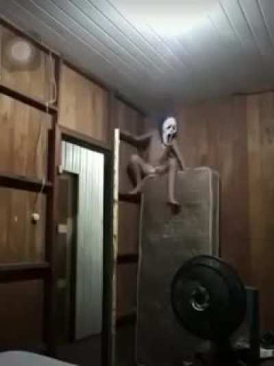 spidey?