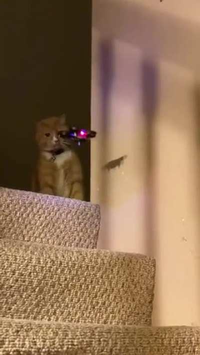 Not in my house!