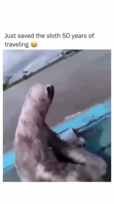 Sloth ?