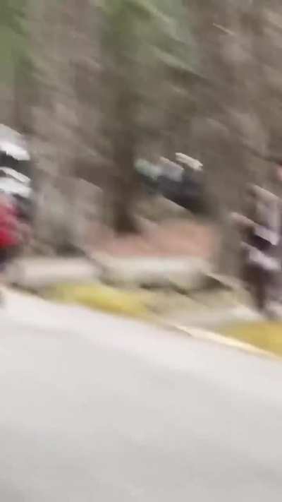 Jasmin Paris 1st Female Finisher at the Barkley Marathons, EVER