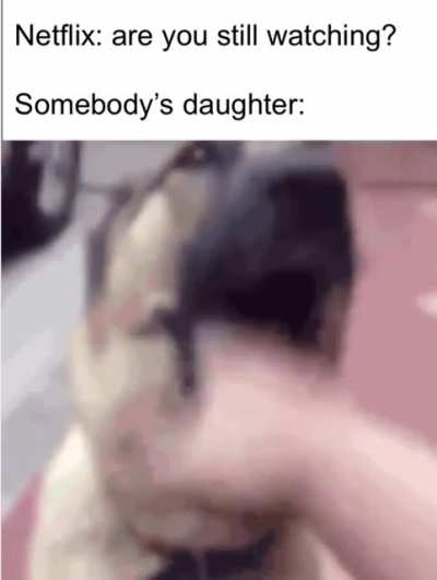 This gif is just perfect