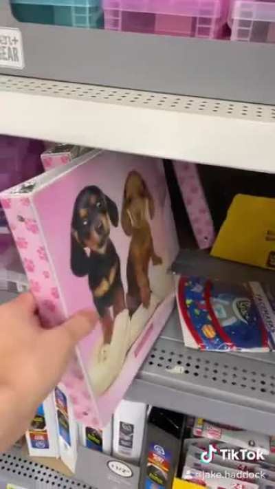 Back to School Essentials