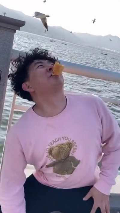 Feeding Seagulls
