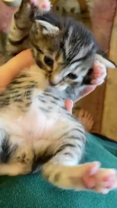 Name suggestions?