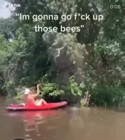 Playing with bees