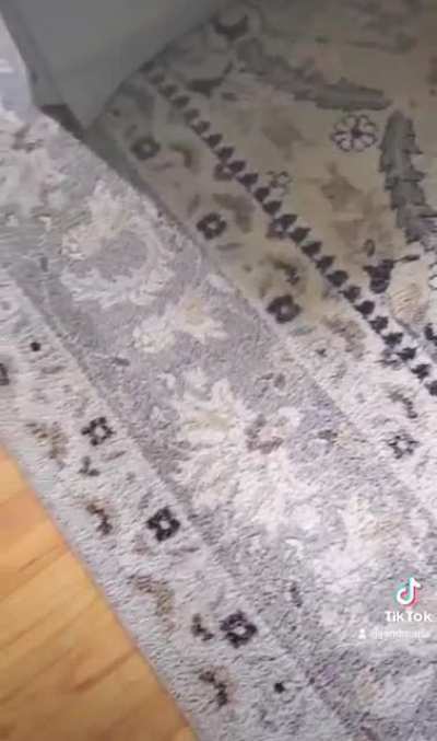 How I Remove Dog Fur from Rug