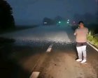 Standing at the Storm Line
