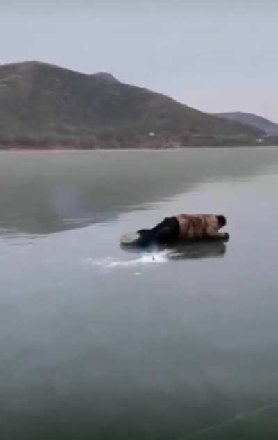 WCGW Fire and Ice