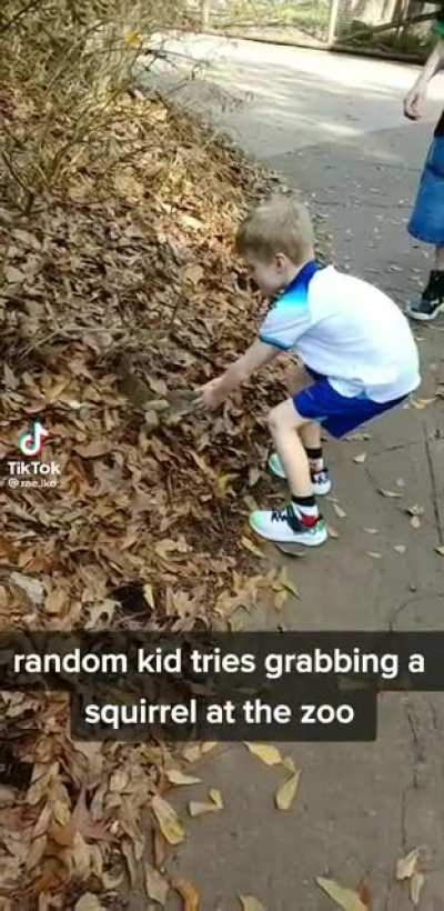 Kid tries to pick up a squirrel