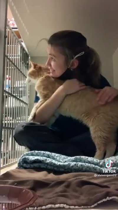 Vet assistant sneaking some cuddles with Mango the cat