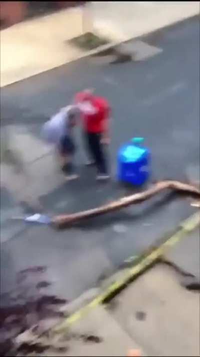 WCGW trying to assist with a DIY tree pruning