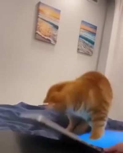 Becoming one with the fish ?