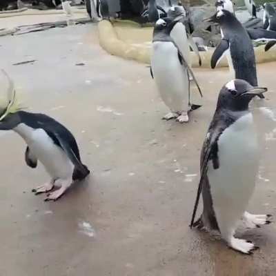 See, this is why we don't ask you to go out anymore, Gary ??
