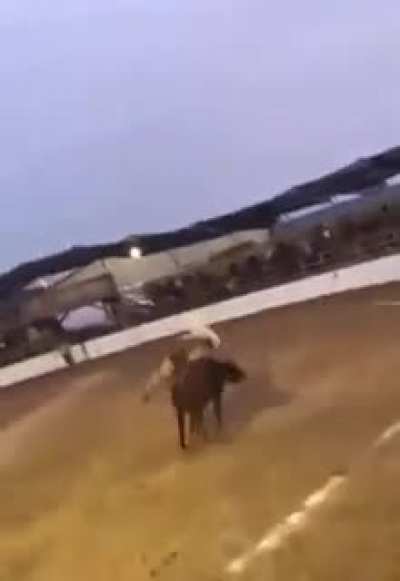 To throw the rider off